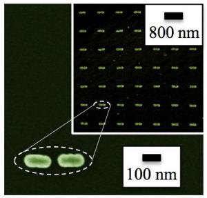 Fig 1. SEM image in false colors of a typical sample with plasmonic nanofeatures. The inset shows a field of view of 5um x 5um.